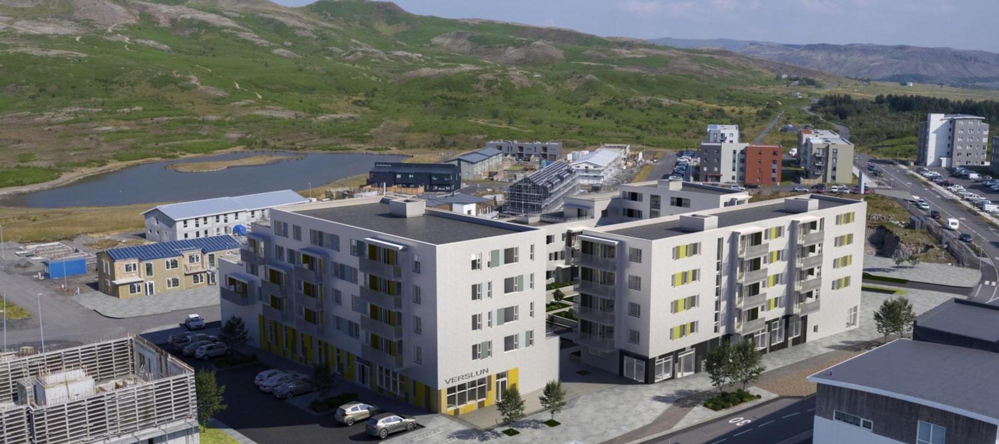 Appartamento Modern Flat In Reykjavik, Ulfarsardalur Esterno foto